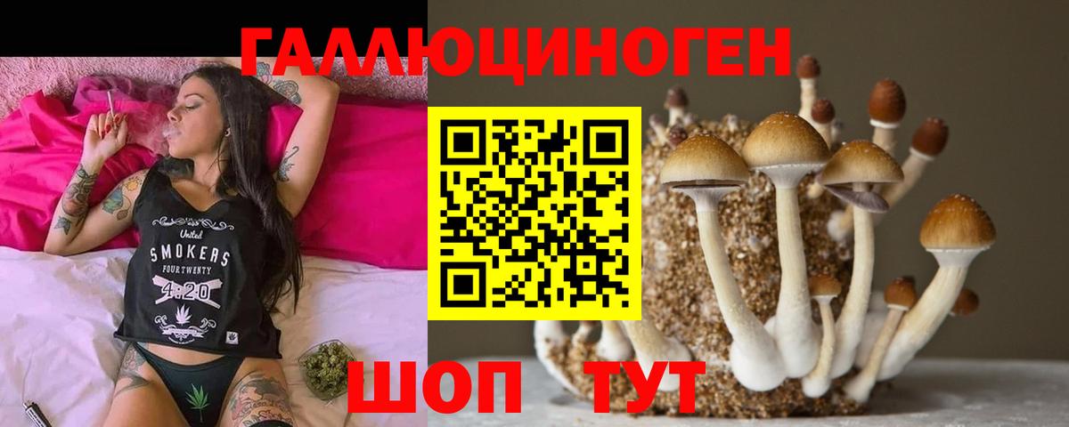 Новотроицк  Галлюциногенные грибы мухоморы  Вход с VPN  Галлюциногенные грибы ЛСД 